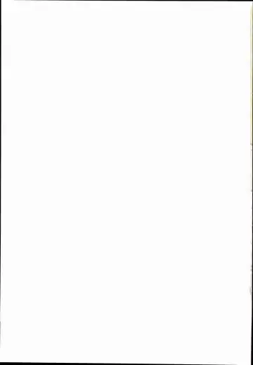 [Niisan] Bokura no Nazrin wa Bukiyou Kawaii! Fhentai - Page 31