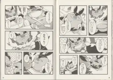 CHA-SHU-DON DX Fhentai - Page 14