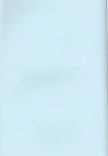 [Noa] Triple Dog Fhentai - Page 2