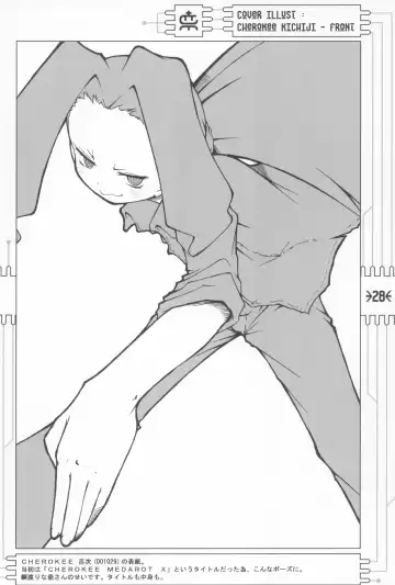 [Maeda] CHEROKEE MEDAROT Fhentai - Page 30