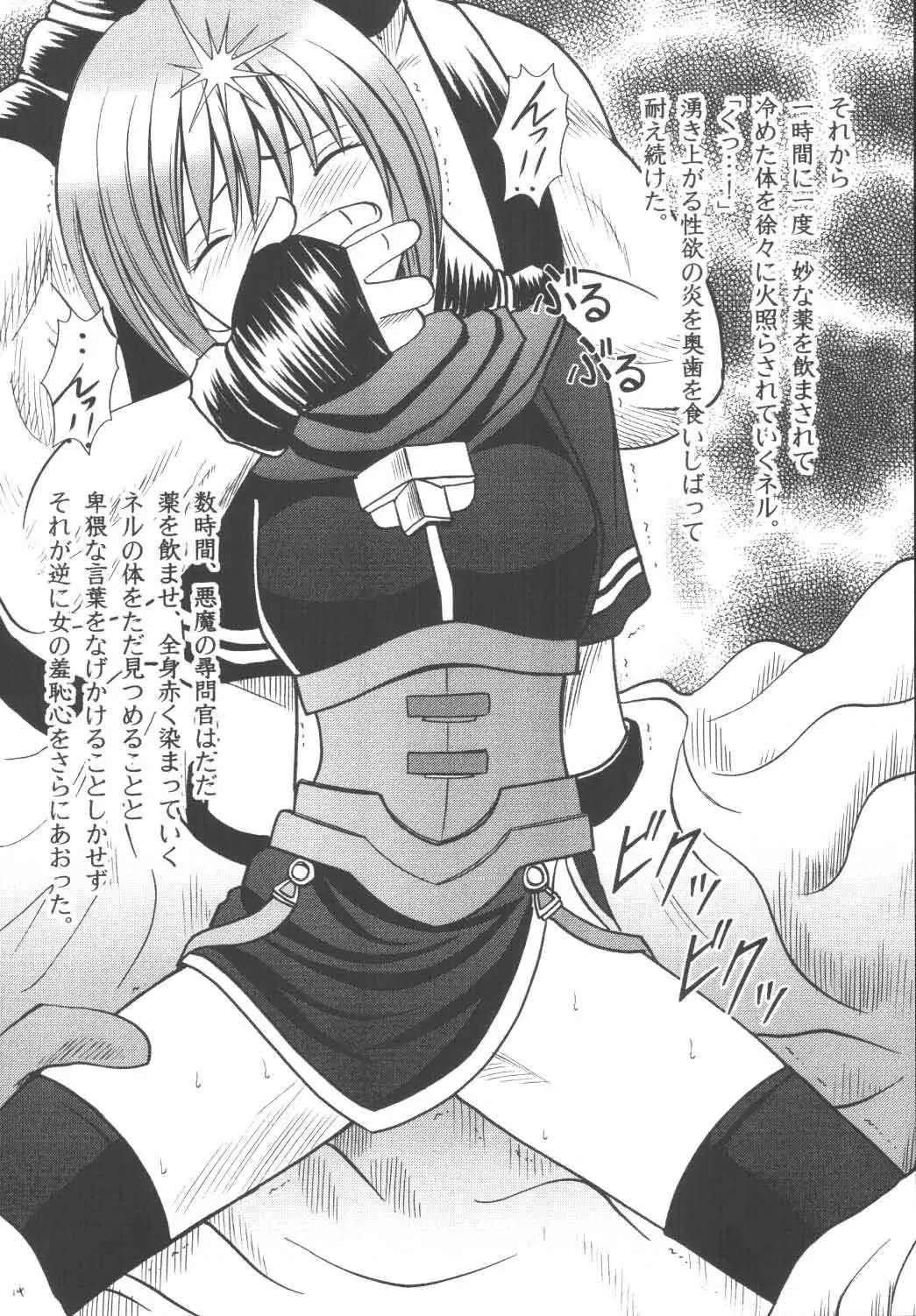 [Crimson] Nel Hard Fhentai - Page 13