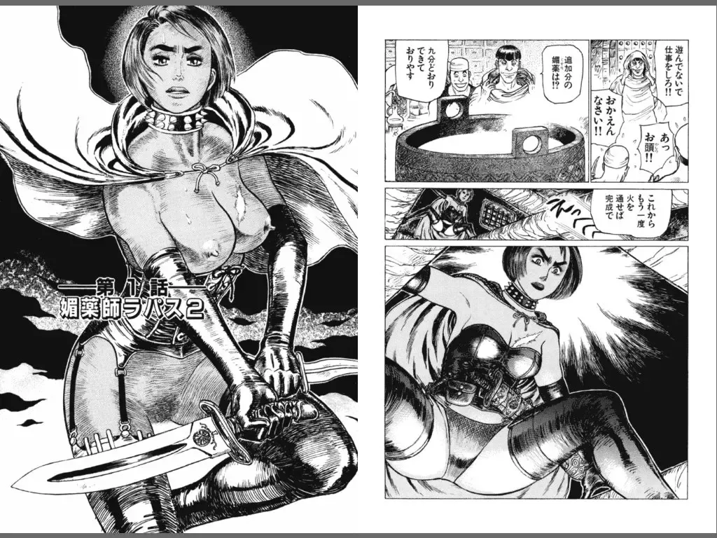 [Yamamoto Atsuji] Ryouki Nadja Fhentai - Page 13