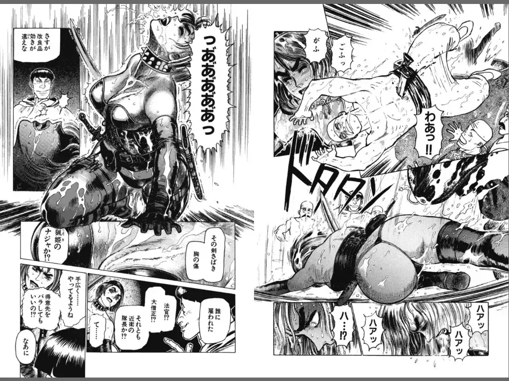 [Yamamoto Atsuji] Ryouki Nadja Fhentai - Page 16