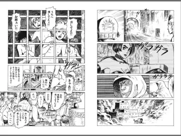 [Yamamoto Atsuji] Ryouki Nadja Fhentai - Page 12