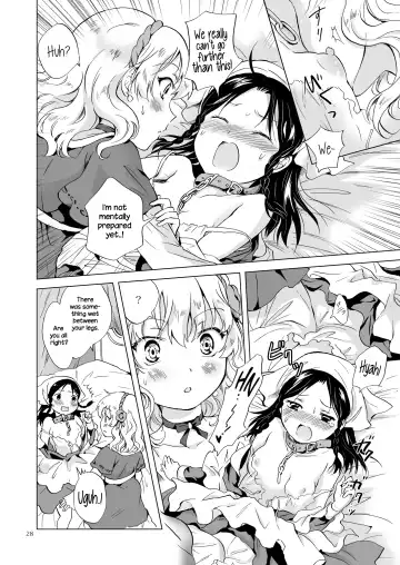 [Mira] Hime-sama to Dorei-chan | The Princess and the Slave Fhentai - Page 27