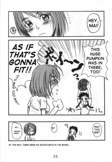 [Hirokawa Kouichirou] HIME-hajimeru Fhentai - Page 24