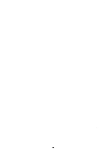 [Amano Ameno] Kinbakujou no AYAME Fhentai - Page 14