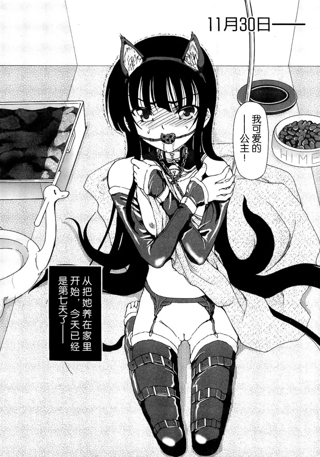 [Fujimiya Hiroshi] Shoujo no Kaikata Shitsukekata ~ Bishoujo Kankin Shiiku Nikki ~ Fhentai - Page 8