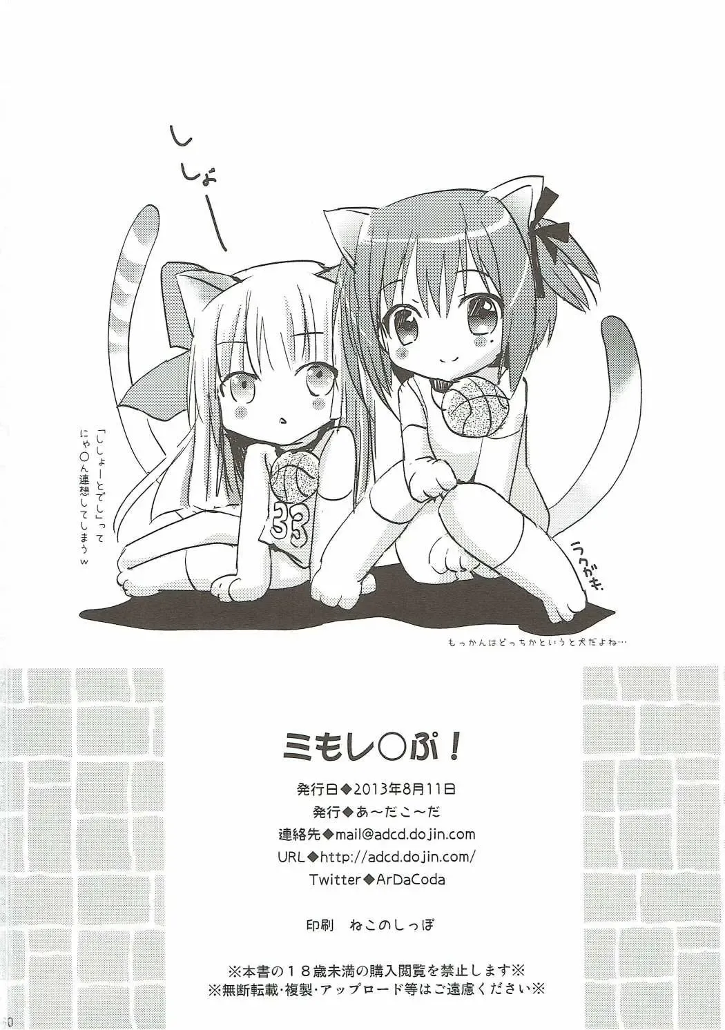 [Zinan] Mi mo Rape! Fhentai - Page 29