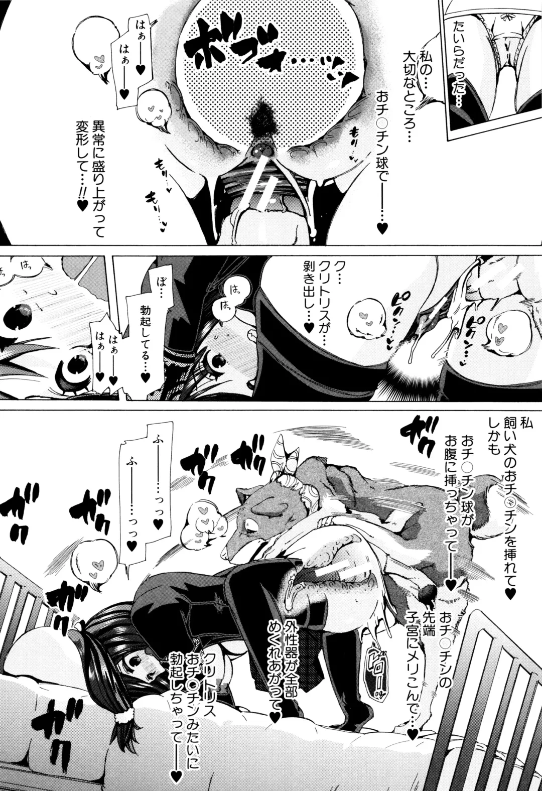 [Chikiko] Juukan Kyoushitsu - Bestiality Class Fhentai - Page 135