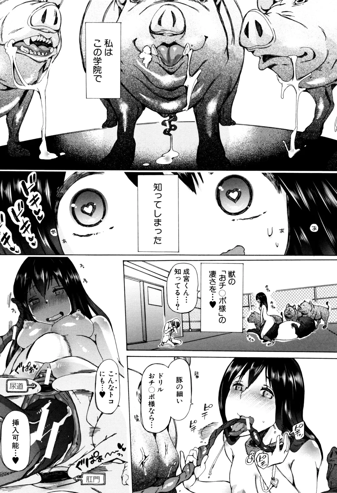 [Chikiko] Juukan Kyoushitsu - Bestiality Class Fhentai - Page 42