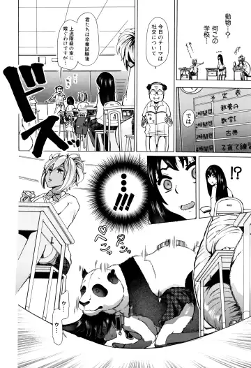 [Chikiko] Juukan Kyoushitsu - Bestiality Class Fhentai - Page 15