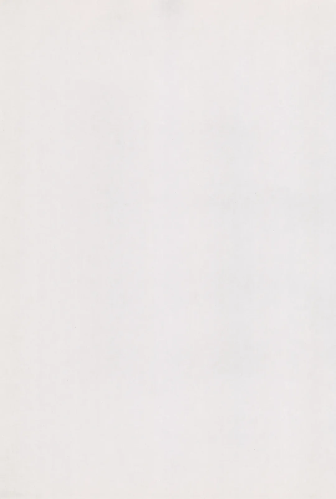 [Syowmaru] edel Prinzessin Fhentai - Page 3