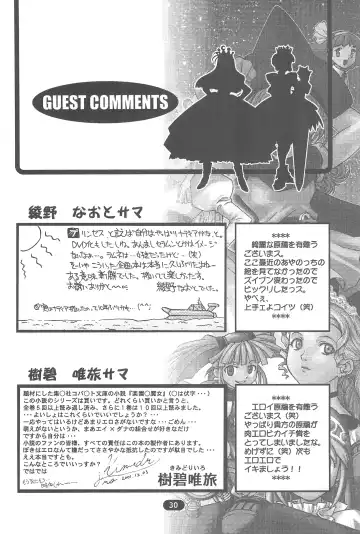 [Syowmaru] edel Prinzessin Fhentai - Page 32