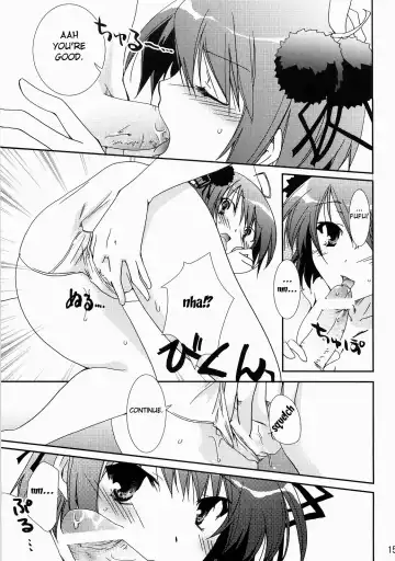 [Yamabuki Mook] Saran Fhentai - Page 15