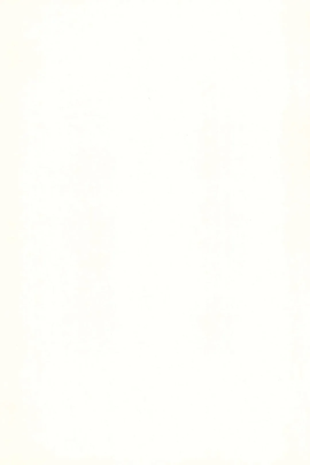 [Fey Tas] L-TYPE Fhentai - Page 3