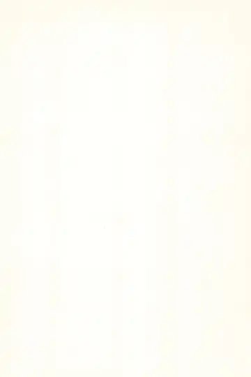 [Fey Tas] L-TYPE Fhentai - Page 22