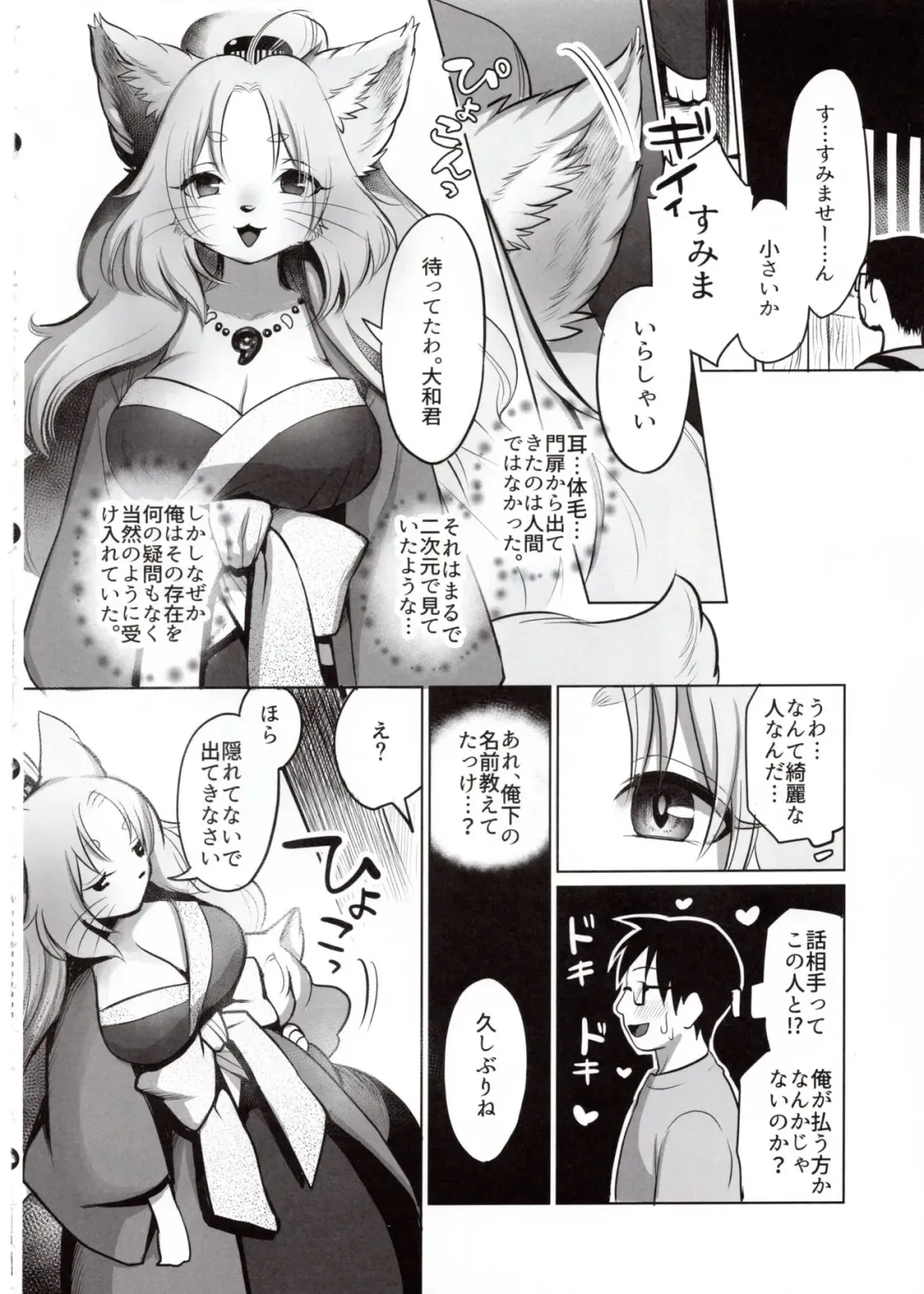 [Kiichi] Yume no Mahoroba Fhentai - Page 5