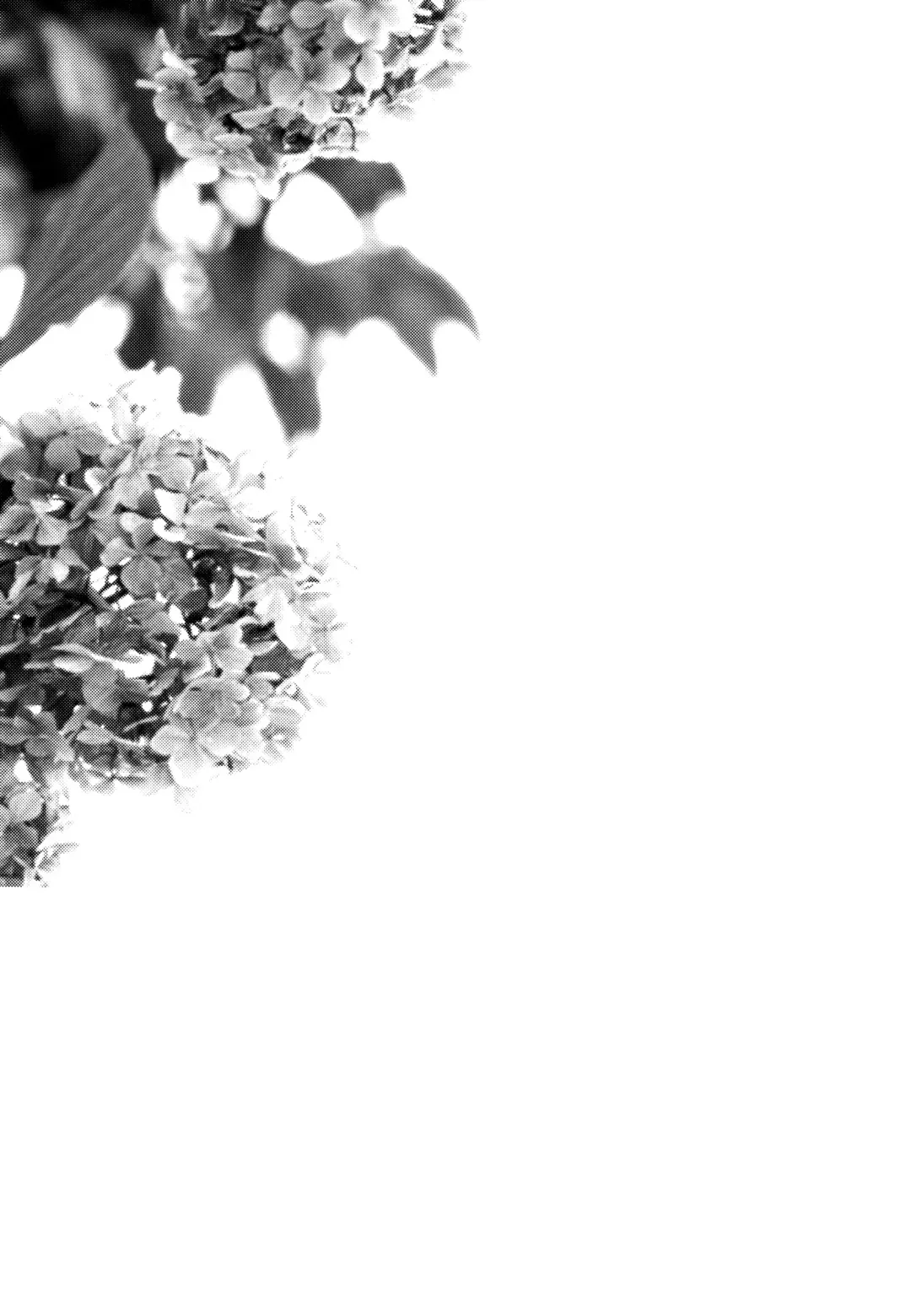 [Aoiro Ichigou] Nora Neko to Rainy Days Fhentai - Page 26