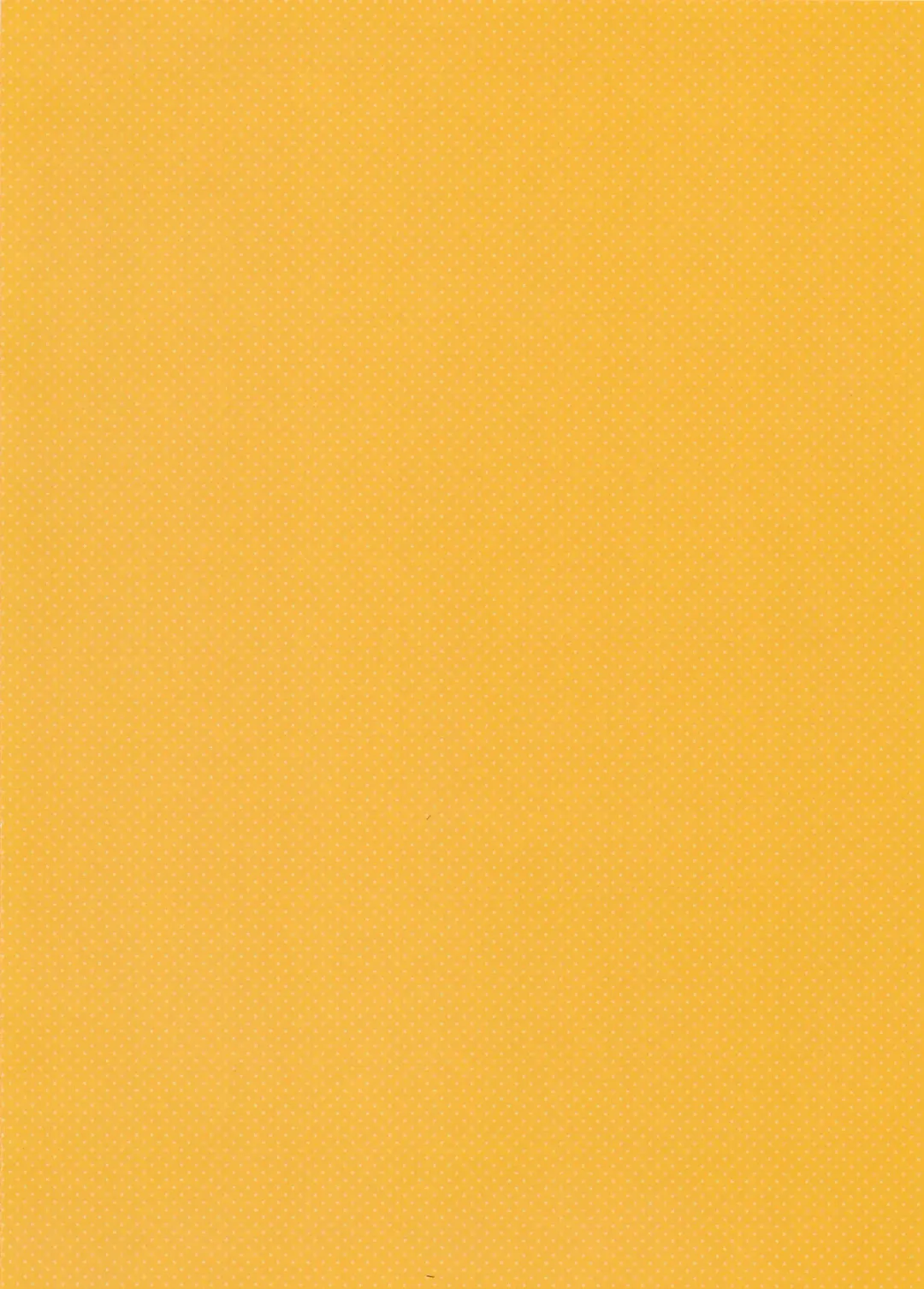 [Munyuu] Magical Girl Colorful NANOHA Fhentai - Page 2