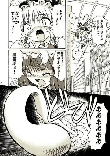 [Takaku Toshihiko] Touhou Youjo Ranbu 2 Fhentai - Page 11