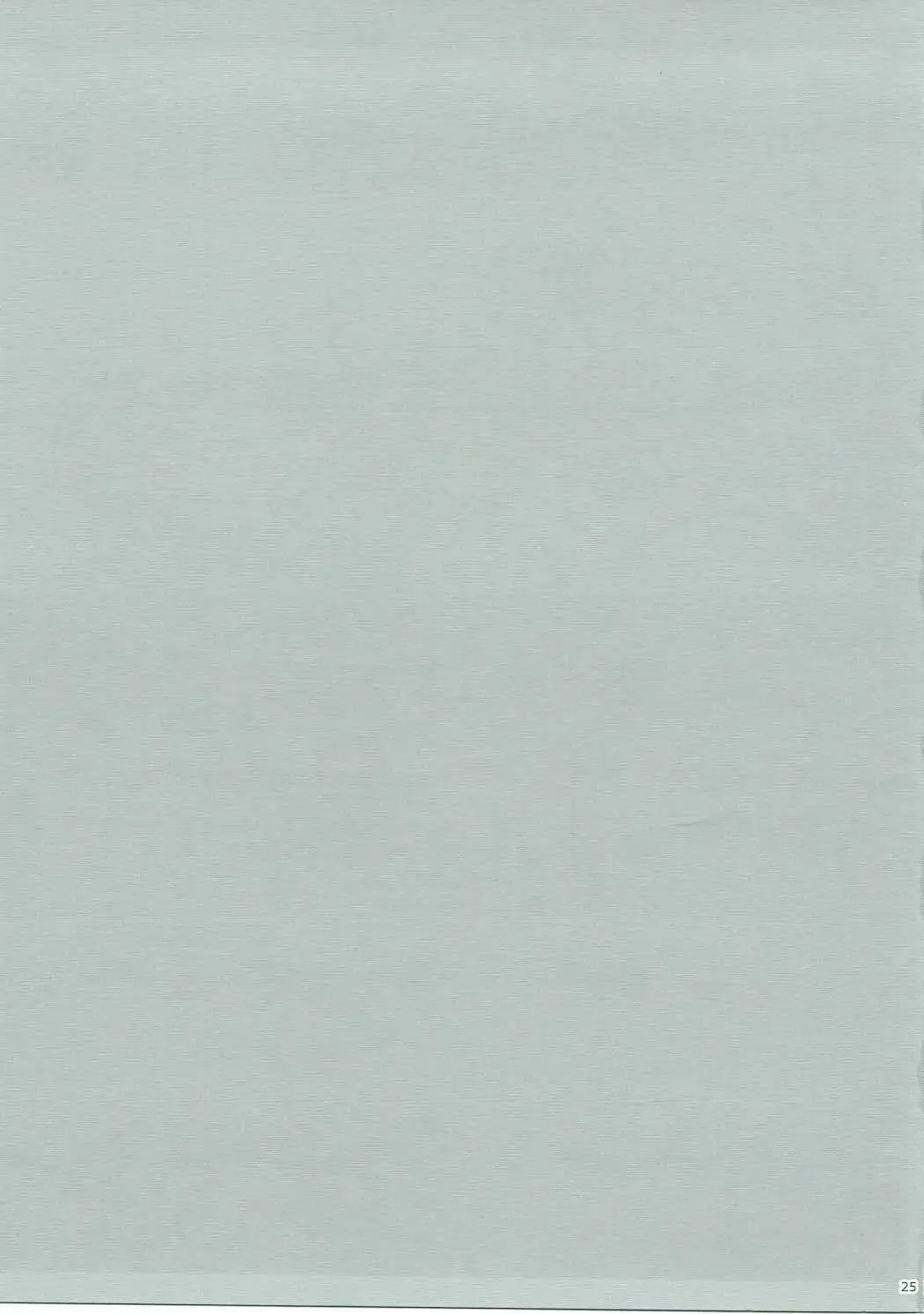 [Ruschuto] Nurse no Oshigoto Fhentai - Page 24