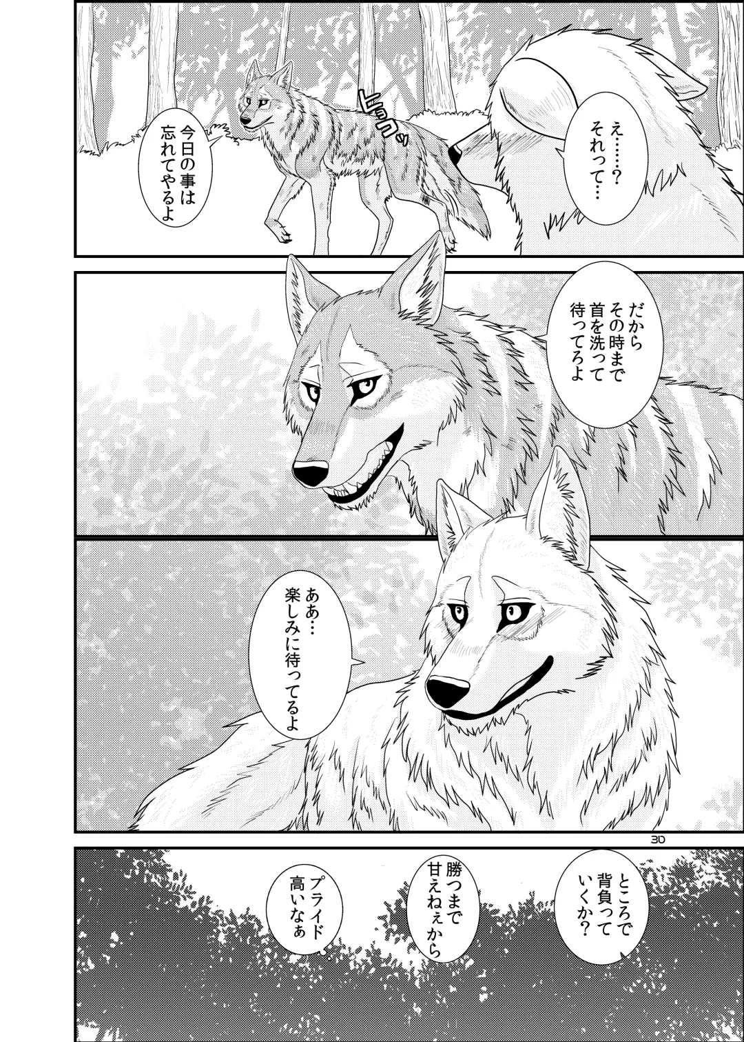 [Nosada] Wansaka Fhentai - Page 30