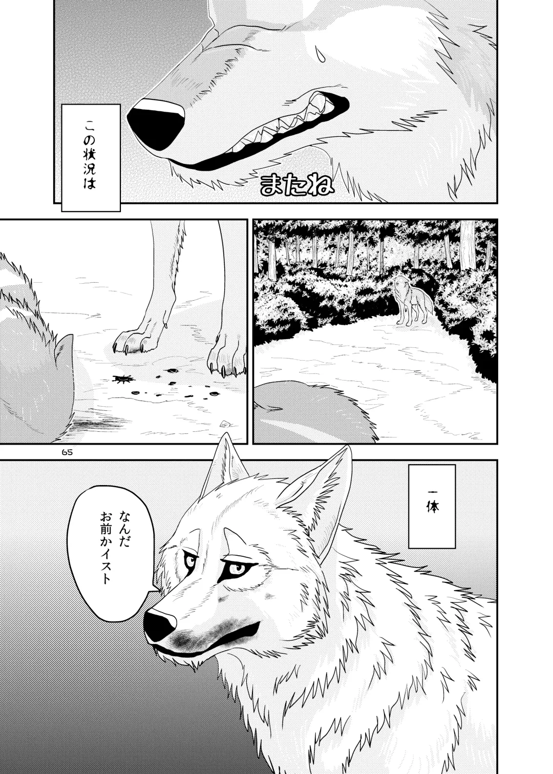 [Nosada] Wansaka Fhentai - Page 65