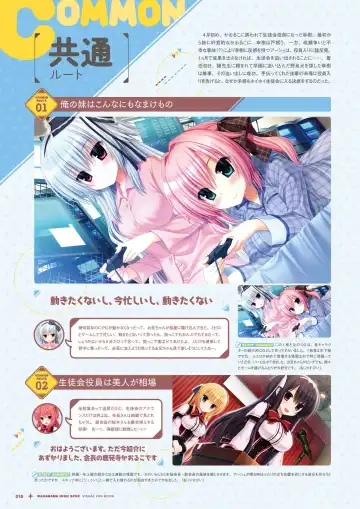 [Utsunomiya Tsumire] Wagamama High Spec Visual Fanbook Fhentai - Page 19