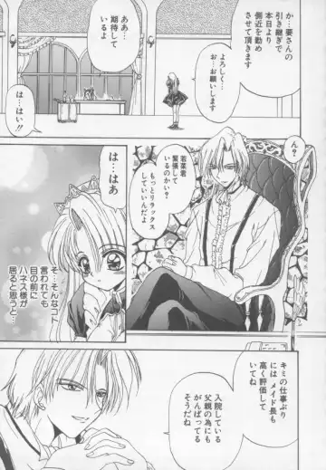 [Kotogi Raura] Xday Evolution Fhentai - Page 123