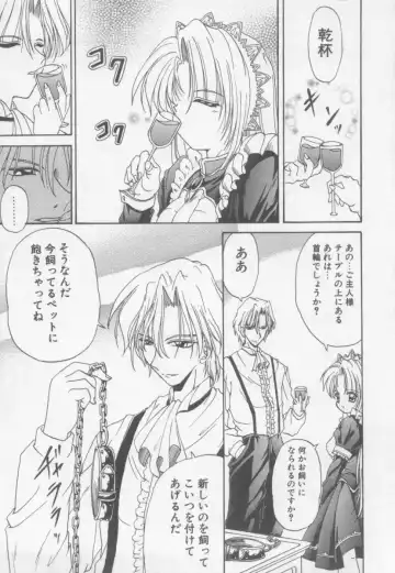 [Kotogi Raura] Xday Evolution Fhentai - Page 125