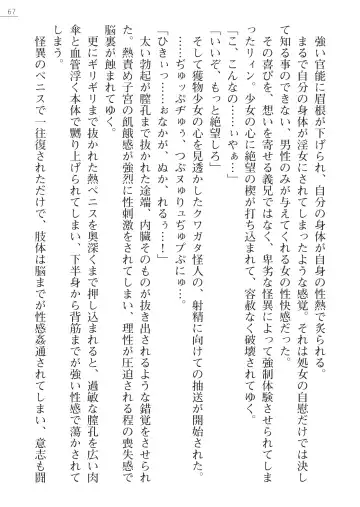 [Hinakuma - Ookuma Tanuki] Kaijin Hunter Riin Fhentai - Page 67