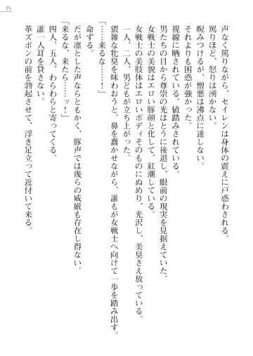 [Iwashige Jurota] Kenki Eiyuuden Seiren Fhentai - Page 35