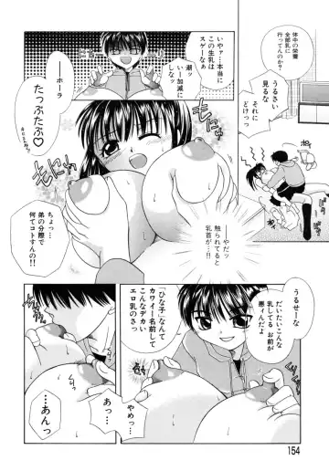 [Mikami Hokuto] Hokuto Remix Fhentai - Page 156