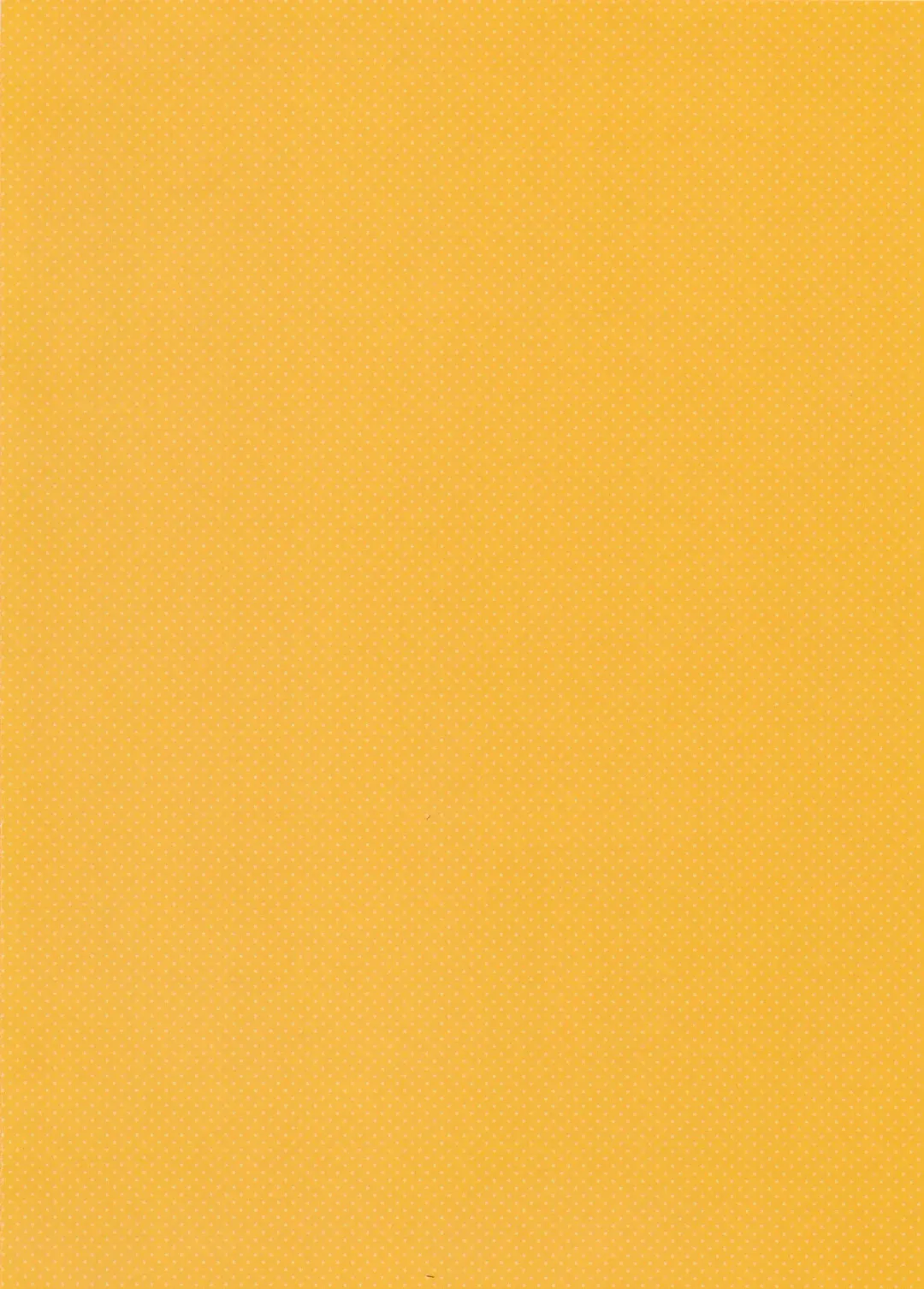 [Munyuu] Magical Girl Colorful NANOHA Fhentai - Page 2